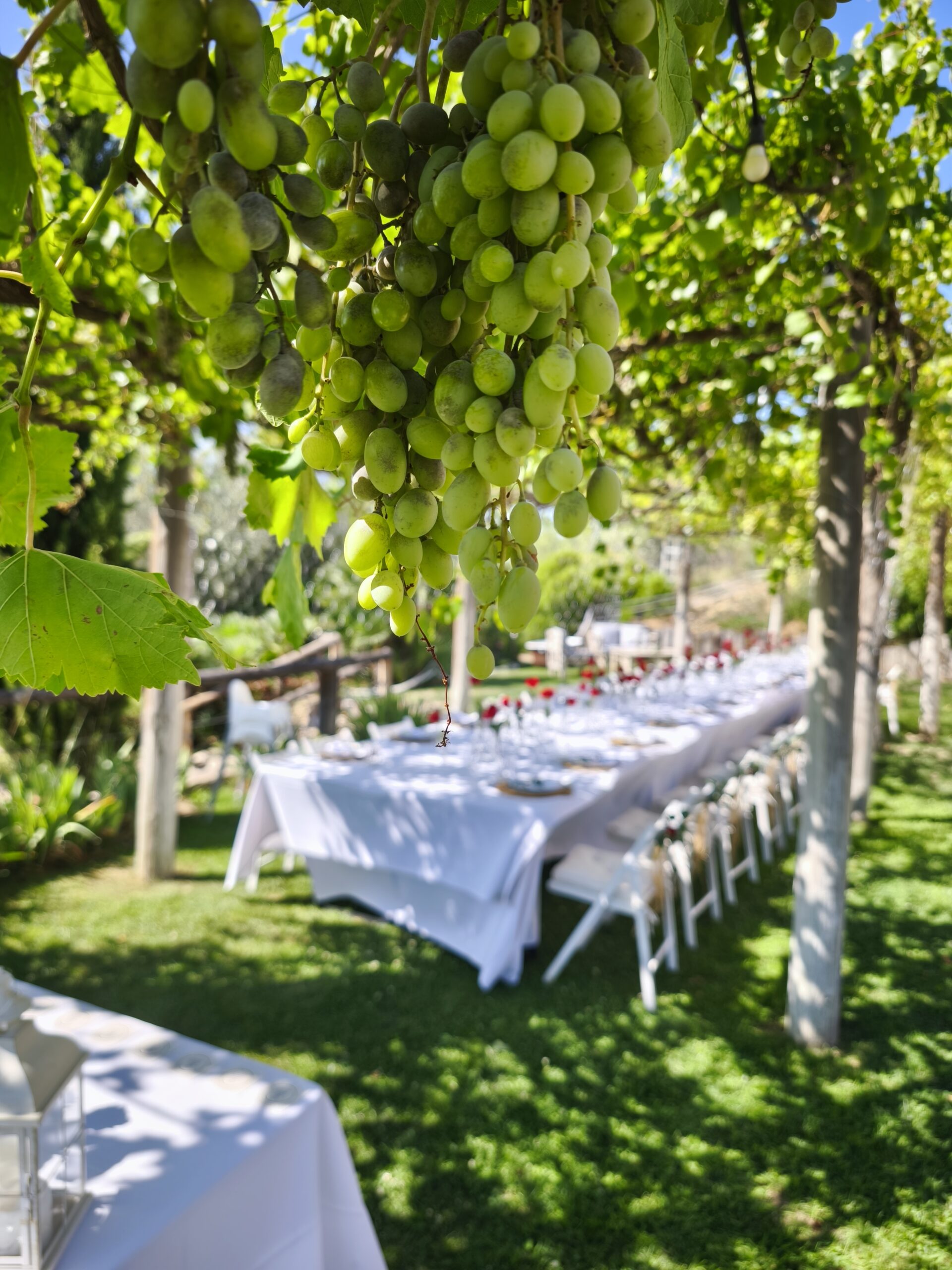 Organización de bodas Sitges