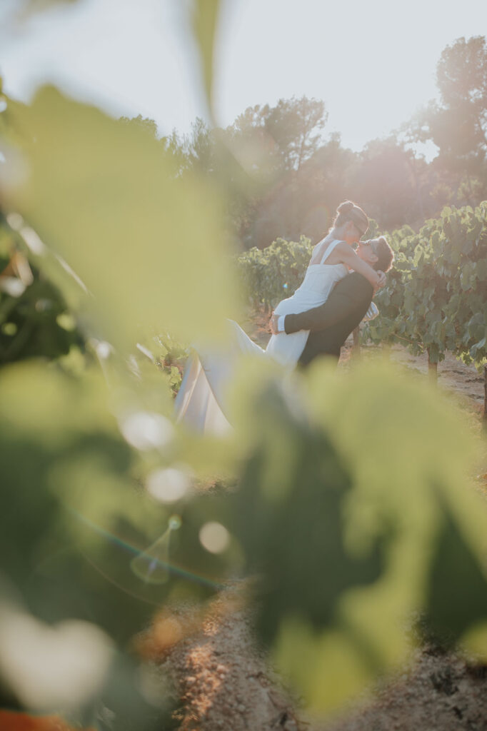 masia pou de la vinya sitges 21361