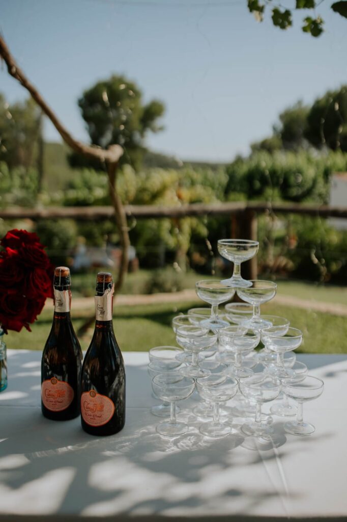 whatsapp image 2025 08 17 at 14.14.10 (1)