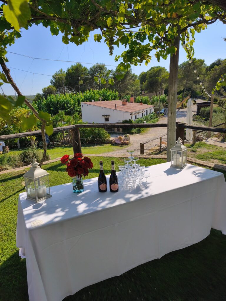 whatsapp image 2025 08 17 at 14.14.11 (5)