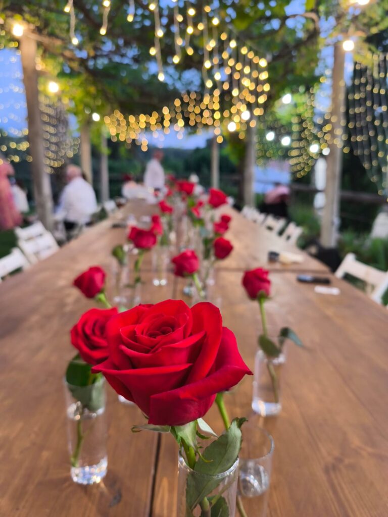 whatsapp image 2025 08 17 at 14.14.12 (1)