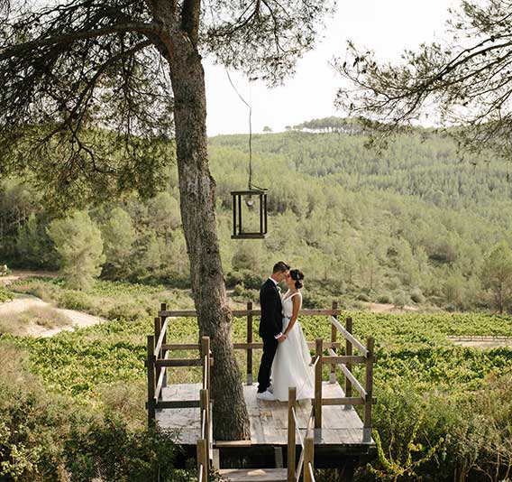 coolinary wedding home quienes somos